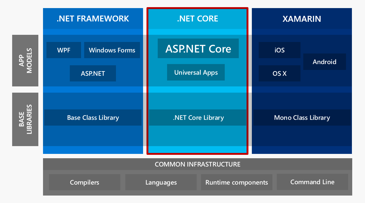 Net 5.0 sdk. .Net Core. Платформа asp.net Core. .Net Framework и .net Core. Фреймворк WPF.